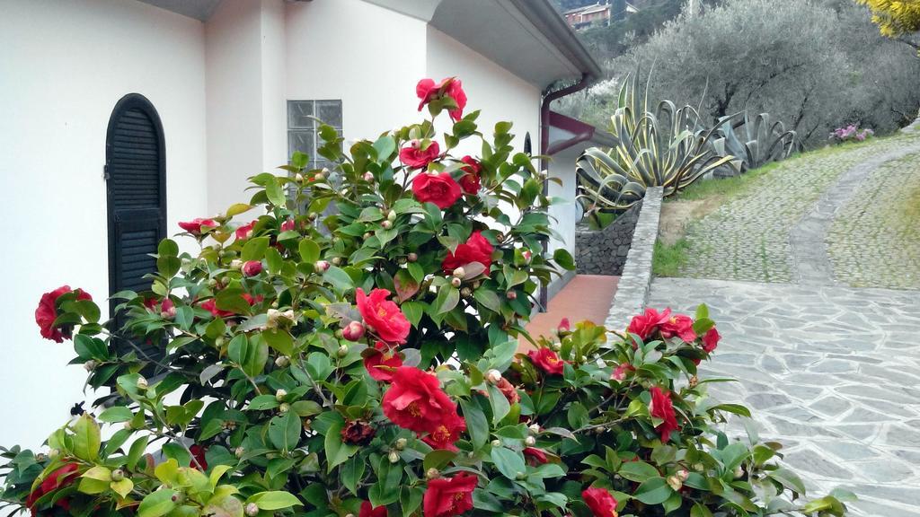 Villa Il Pettirosso 라스페치아 객실 사진